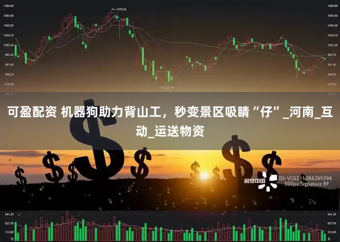 可盈配资 机器狗助力背山工，秒变景区吸睛“仔”_河南_互动_运送物资