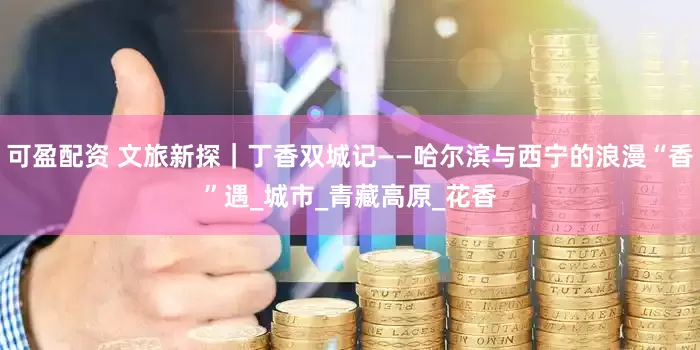 可盈配资 文旅新探｜丁香双城记——哈尔滨与西宁的浪漫“香”遇_城市_青藏高原_花香