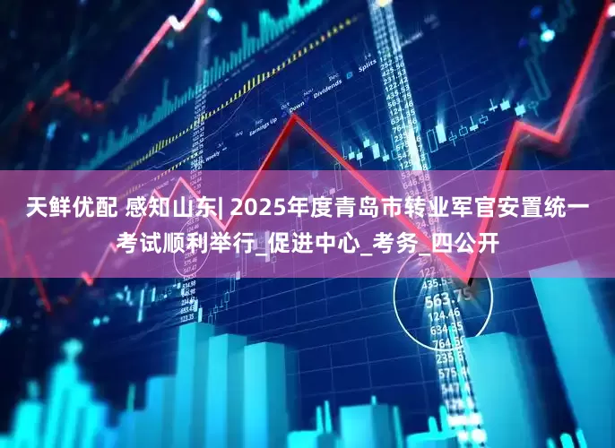 天鲜优配 感知山东| 2025年度青岛市转业军官安置统一考试顺利举行_促进中心_考务_四公开