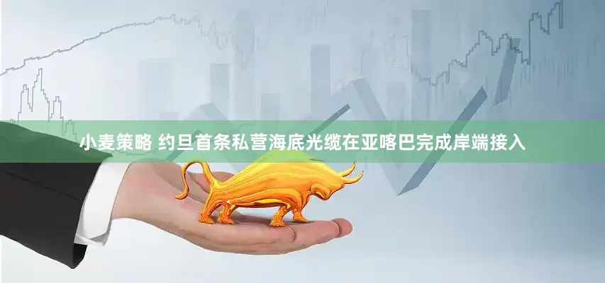 小麦策略 约旦首条私营海底光缆在亚喀巴完成岸端接入