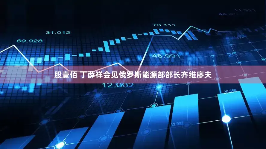 股壹佰 丁薛祥会见俄罗斯能源部部长齐维廖夫